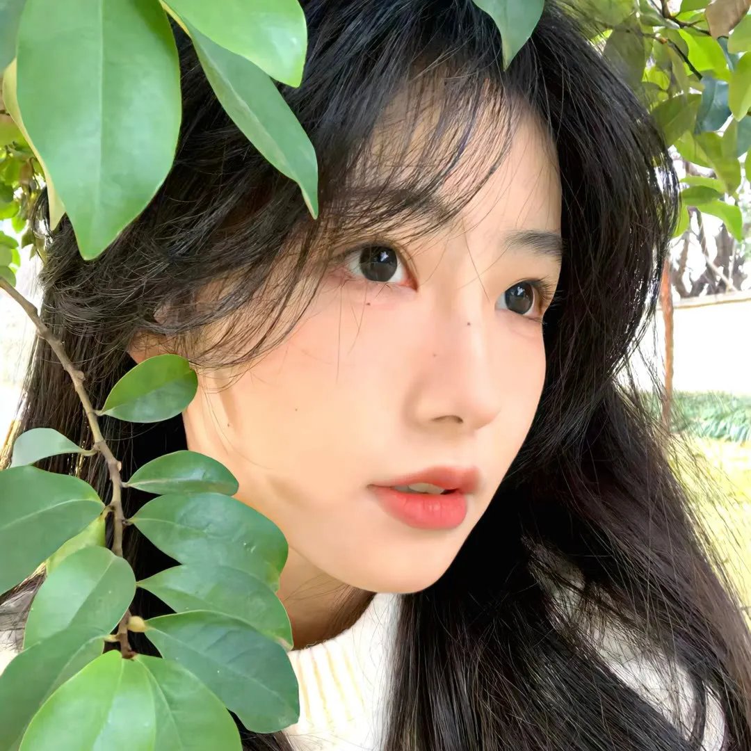 楷模